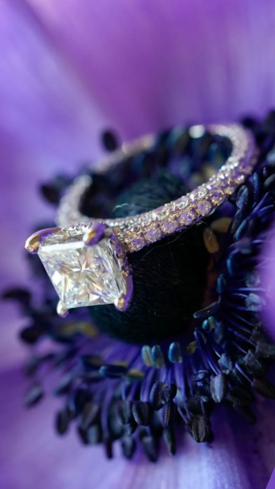 Princess-cut diamond engagement ring set on a deep purple anemone flower — Maximus Visions wedding photography, New Jersey & New York City